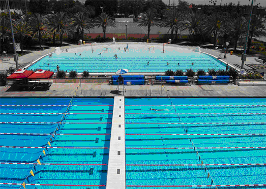 3980 Bill Robertson Lane Los Angeles CA 90037 Expolacitypools Slide Diving Board Outdoor 3980 Bill Robertson Lane Los Angeles CA 90037 Expolacitypools Slide Diving Board Outdoor